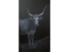 Black K 1, 80 x 130 cm