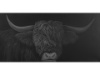 Black K 3, 50 x 100 cm