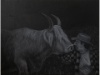 Kari und Allison, 120 x 90 cm